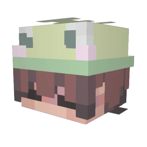 mynameischamp05 Minecraft avatar head, 3D render
