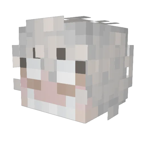 mynameissilver Minecraft avatar head, 3D render