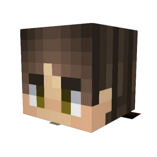 mynamemitch Minecraft avatar head, 3D render