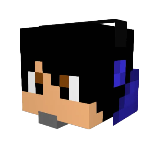 mynewman24 Minecraft avatar head, 3D render