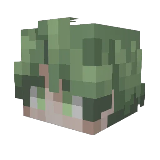 mynzi Minecraft avatar head, 3D render
