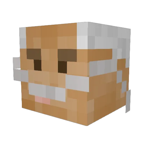 myorphanagewifi Minecraft avatar head, 3D render