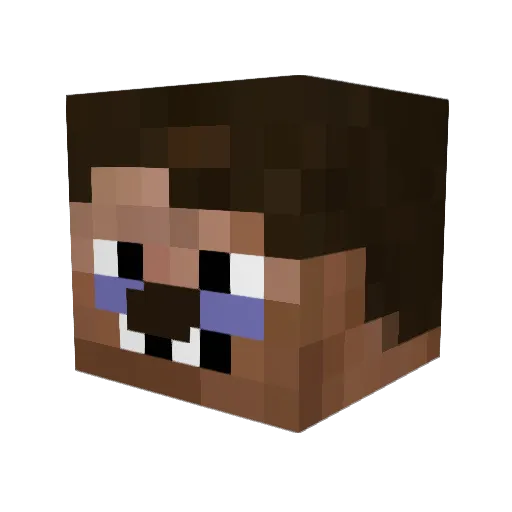 mypetfish1 Minecraft avatar head, 3D render