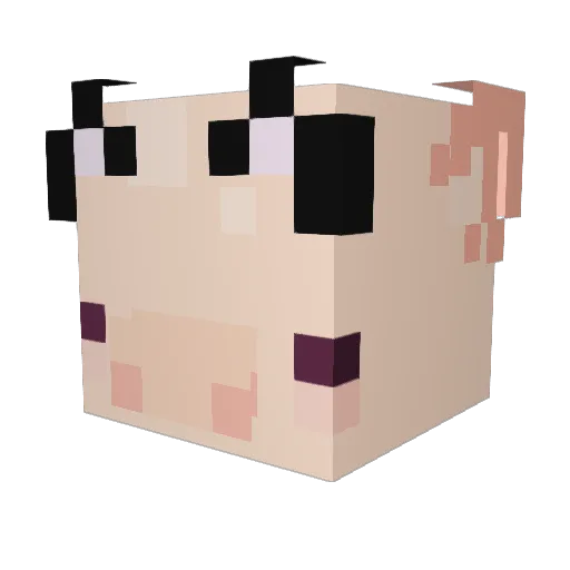 myplesio Minecraft avatar head, 3D render
