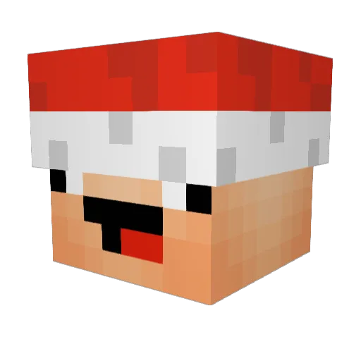 myru_ce Minecraft avatar head, 3D render