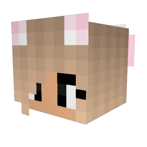 mysan_ Minecraft avatar head, 3D render