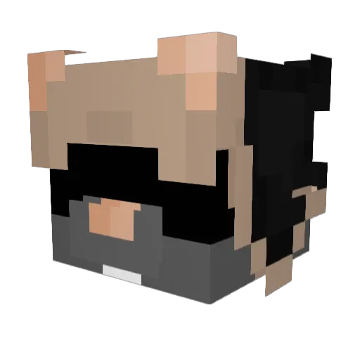 myst3r10s_bot Minecraft avatar head, 3D render