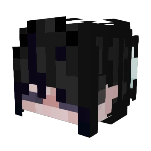 myst_airlines Minecraft avatar head, 3D render
