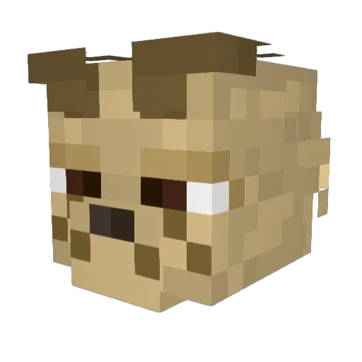 mysteve478 Minecraft avatar head, 3D render