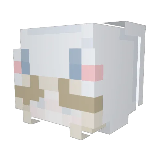 mysweetcinna Minecraft avatar head, 3D render