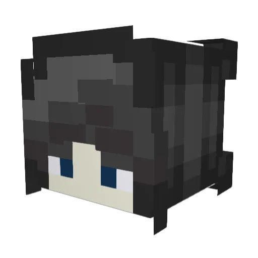 mytrainsnl Minecraft avatar head, 3D render