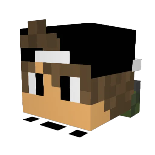 myungsoo98 Minecraft avatar head, 3D render