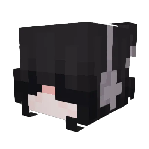 myvwbus Minecraft avatar head, 3D render