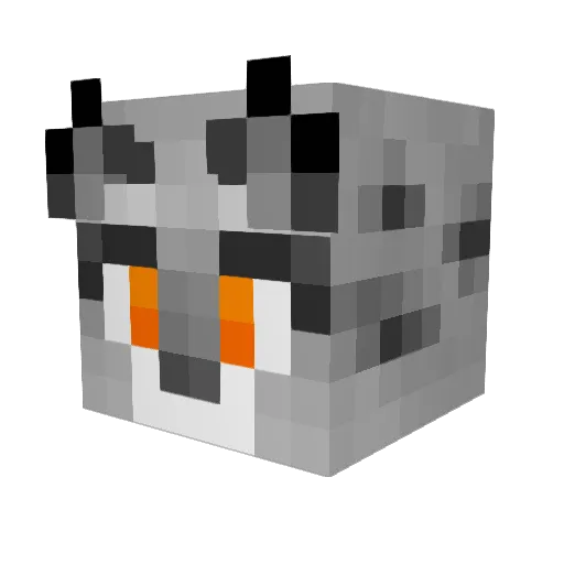 n00bdud3 Minecraft avatar head, 3D render