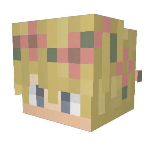 n04hb411 Minecraft avatar head, 3D render