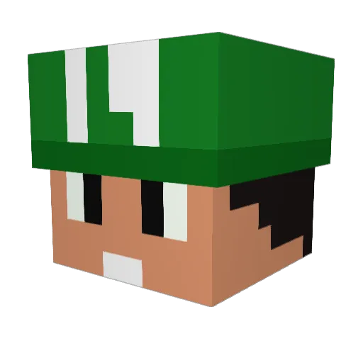 n0_lungs Minecraft avatar head, 3D render