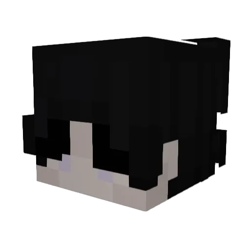 n0chill1 Minecraft avatar head, 3D render