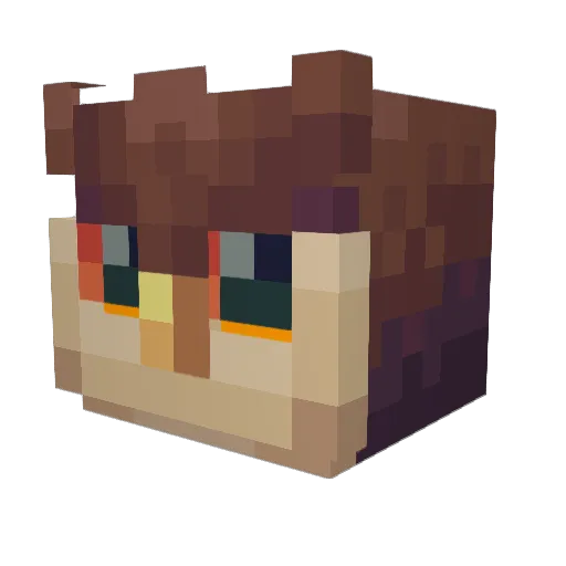n0ia96 Minecraft avatar head, 3D render