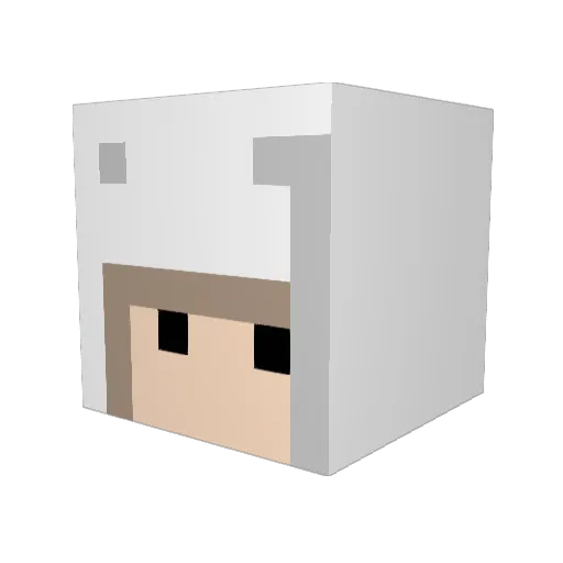 n0idea Minecraft avatar head, 3D render