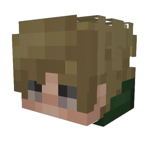 n0j0g4 Minecraft avatar head, 3D render
