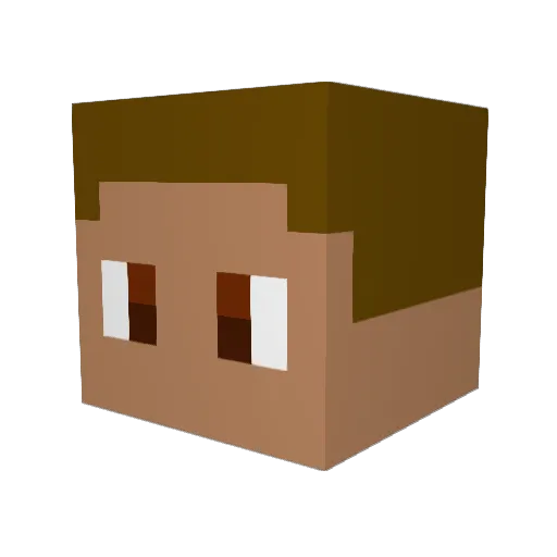 n0ju1c3 Minecraft avatar head, 3D render