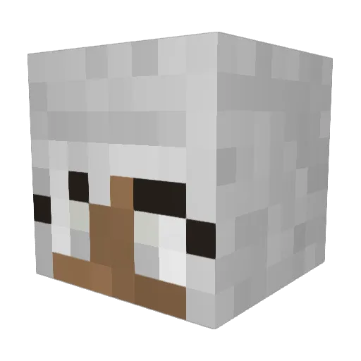 n0nam3s Minecraft avatar head, 3D render