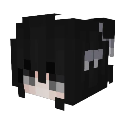 n0sgov Minecraft avatar head, 3D render