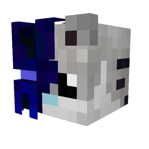 n0t_3bs404 Minecraft avatar head, 3D render