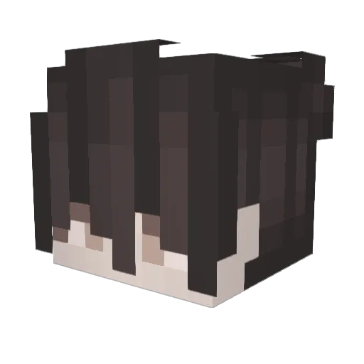 n0t__T0ny Minecraft avatar head, 3D render