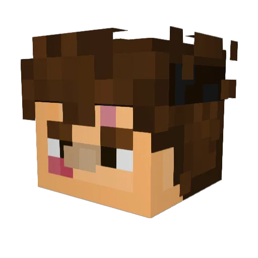 n0t_n0el Minecraft avatar head, 3D render