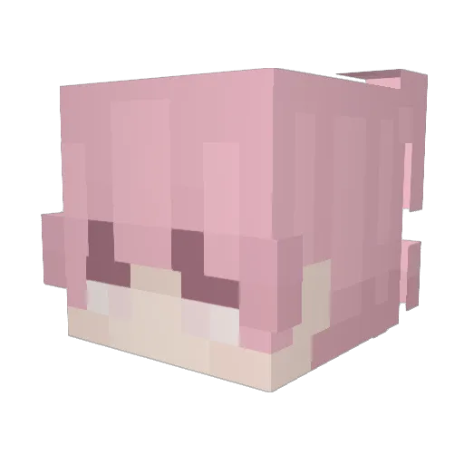 n0tash Minecraft avatar head, 3D render