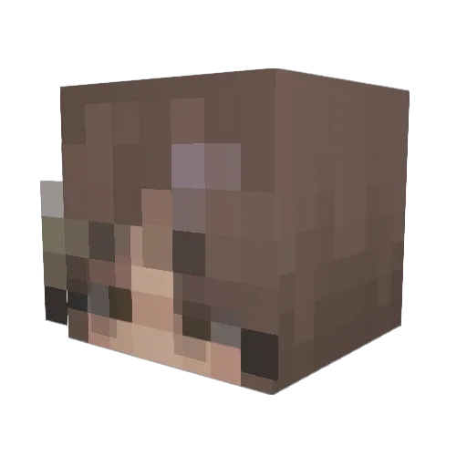 n0tcait Minecraft avatar head, 3D render
