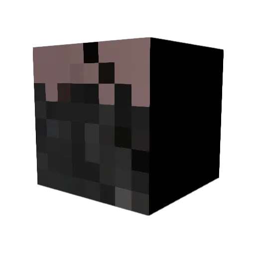 n0thankyou Minecraft avatar head, 3D render