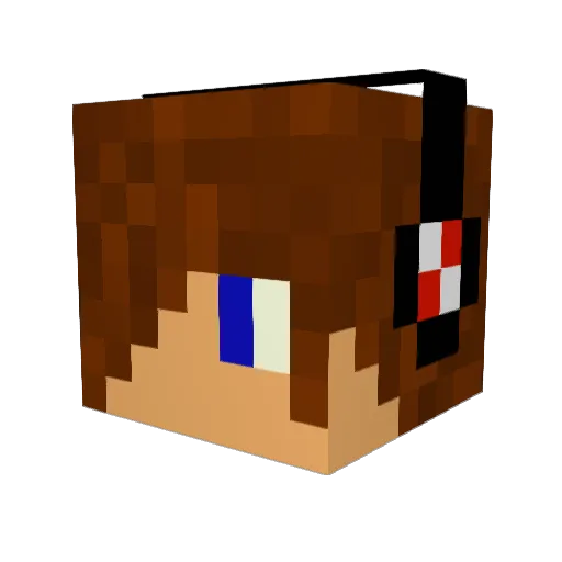 n0thin91 Minecraft avatar head, 3D render