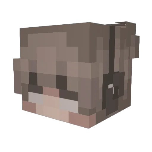 n0tsn1per Minecraft avatar head, 3D render