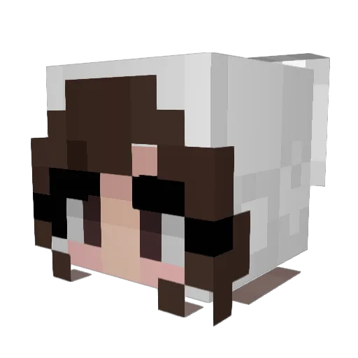 n0ttty Minecraft avatar head, 3D render