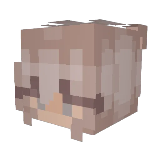 n0v9_ Minecraft avatar head, 3D render
