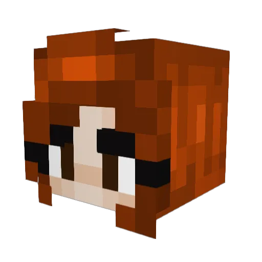 n14ooo Minecraft avatar head, 3D render