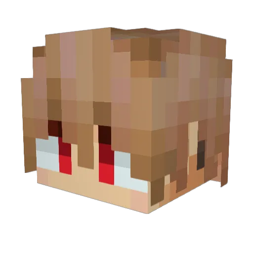 n1c0tan Minecraft avatar head, 3D render