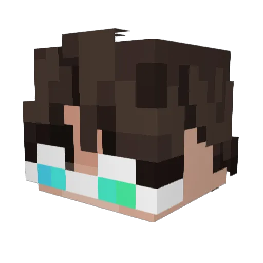 n1cezin Minecraft avatar head, 3D render