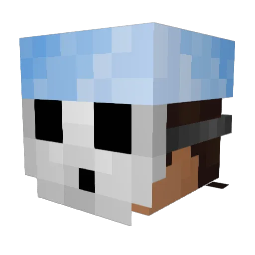 n1ck17 Minecraft avatar head, 3D render