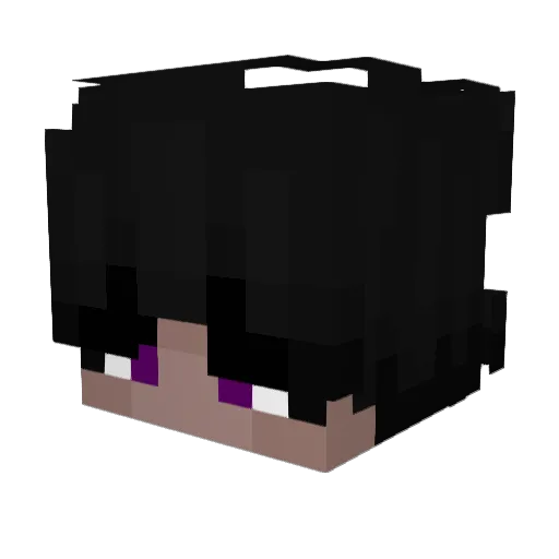 n1coN Minecraft avatar head, 3D render