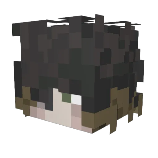 n1fan Minecraft avatar head, 3D render