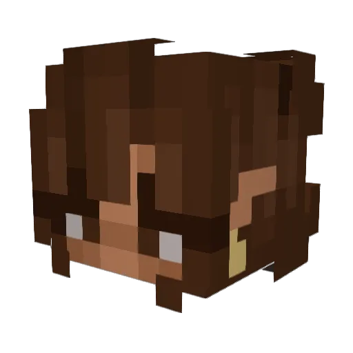 n1igga10 Minecraft avatar head, 3D render