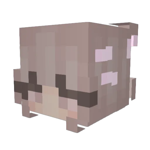 n1kolcia Minecraft avatar head, 3D render