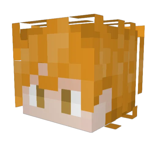 n1nJ42012 Minecraft avatar head, 3D render