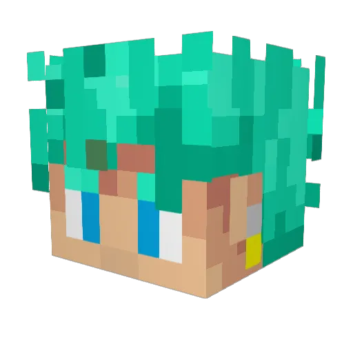 n1nj Minecraft avatar head, 3D render