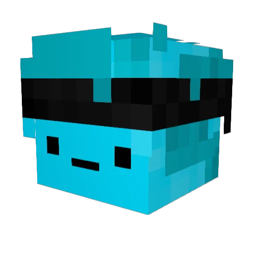 n1r1n Minecraft avatar head, 3D render