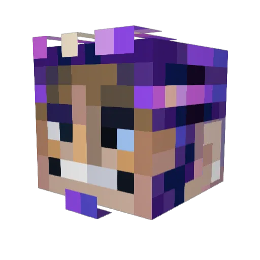 n1xkid Minecraft avatar head, 3D render