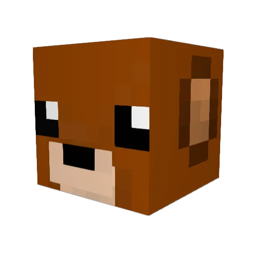 n2na Minecraft avatar head, 3D render